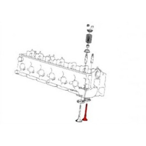 BMW E30 E34 M21 مجموعة صمامات العادم 11342242622 فواصل