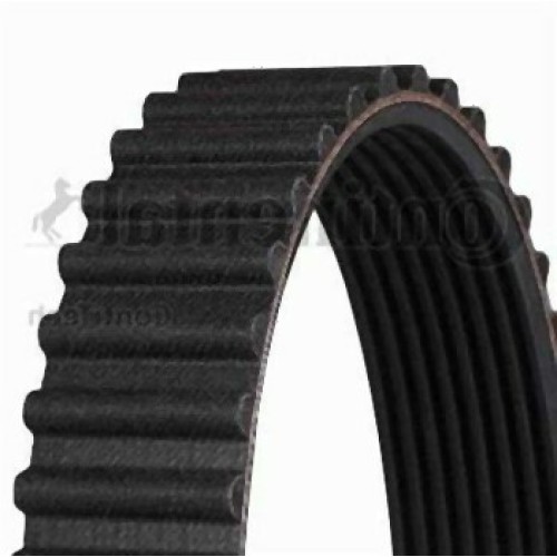 حزام التوقيت BMW E30 E34 M21 11311279125 CONTITECH