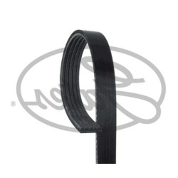 حزام المروحة BMW E34 E36 E39 M51 5PK1815 11287636375 غيتس