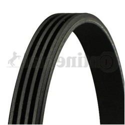 BMW E46 E83 M47N M47N2 Correa Aire Acondicionado 4PK895 64557795144 CONTITECH BMW E46 E83 M47N M47N2 Correa Aire Acondicionado 4PK895 64557795144 CONTITECH