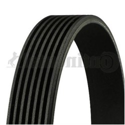 حزام المروحة BMW E53 M62 7PK1623 11287636369 CONTITECH