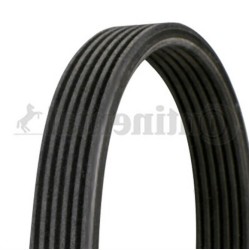 BMW E81 E82 E87 E88 E90 E91 E92 E93 N47 حزام المروحة 6DPK1697 11288574957 CONTITECH
