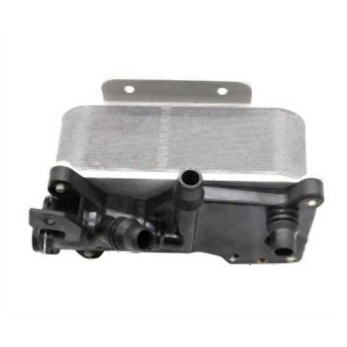 BMW F07 F10 F11 N20 مشعاع زيت ناقل الحركة 17217638582