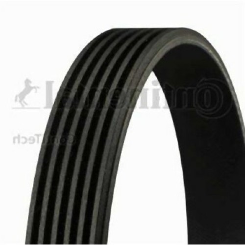 BMW M47N M47N2 M57N M57N2 Correa Del Ventilador 6PK2080 11287786075 CONTITECH