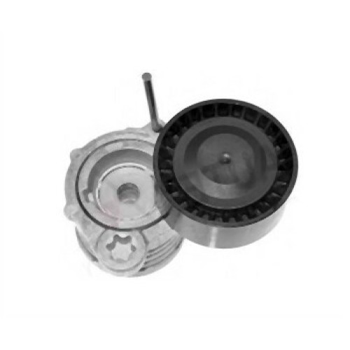 BMW M47N2 M57N2 Perno Tensor 11287790447 SPIDAN