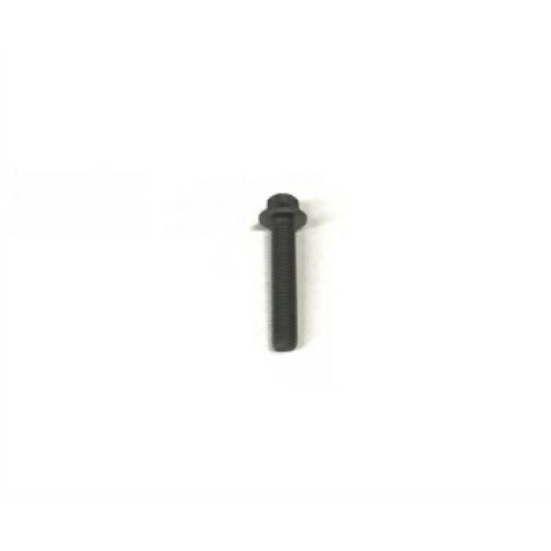 Perno del cojinete del árbol de levas BMW MINI 11317797515