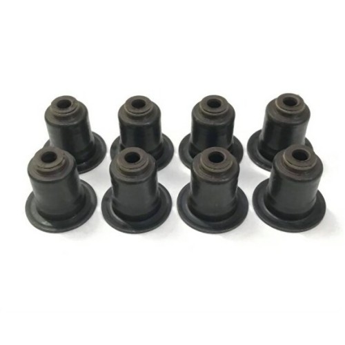 BMW MINI N20 N26 B36 B38 B46 B48 B58 إطار صمام السحب 8 مجموعة 11340038719 فيكتور رينز