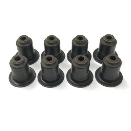 BMW MINI N20 N26 B36 B38 إطار صمام العادم 8 مجموعة 11340038720 فيكتور رينز