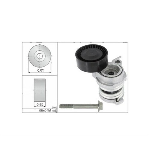 BMW N40 N42 N45 N45N N46 N46N مسمار الموتر 11287524267 INA