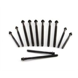 BMW N40 N42 N45 N46 Juego de pernos de culata 11127511534 ELRING