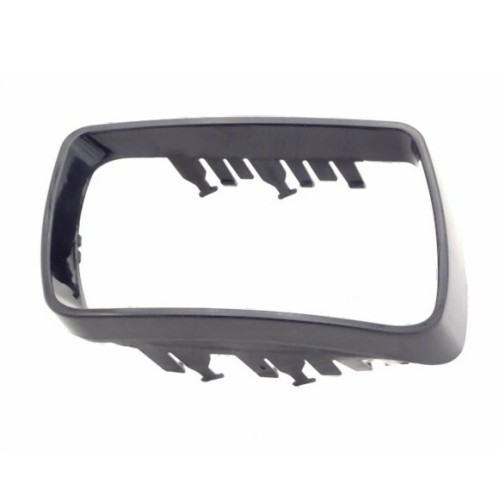 BMW X5 E53 Marco espejo retrovisor exterior izquierdo 51168254903