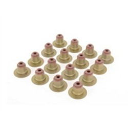 مجموعة إطارات الصمامات Mini R50 R52 R53 11340029571 VICTOR REINZ