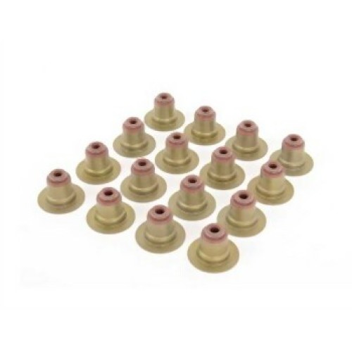 مجموعة إطارات الصمامات Mini R50 R52 R53 11340029571 VICTOR REINZ