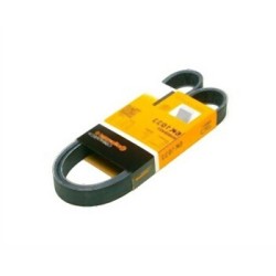 Mini R50 R52 W10 Correa Del Ventilador 6PK1033 11287518250 CONTITECH