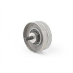 Polea Tensora Mini R52 R53 11280946004 RUVILLE