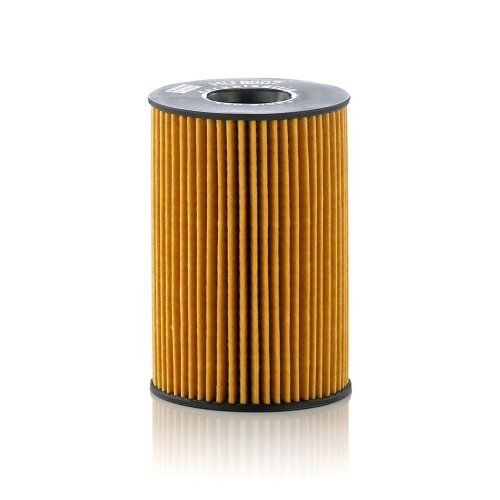 BMW E70 E71 F01 F02 F06 F07 F10 F11 F12 F13 N63 N63N فلتر الهواء 1-4 13717577457 مان