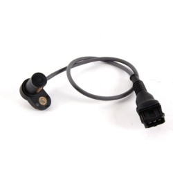 Bmw E46 Chasis 320i M52 Motor Sensor Arbol De Levas Herth Buss