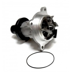Land Rover Circulación Tdv8 Vogue Sport Lr008863
