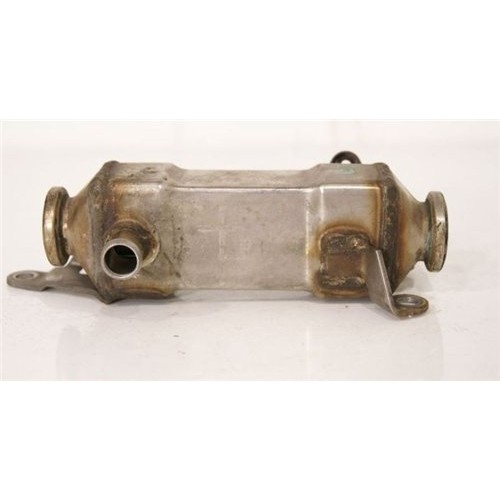 مشعاع بي ام دبليو Egr E53 E46 X5 11717787404