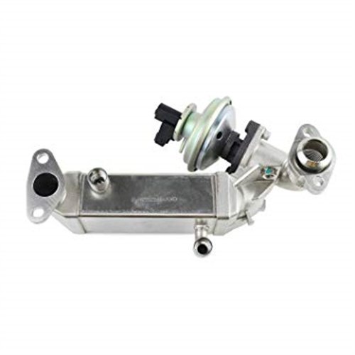 Radiador Egr Bmw E81 E87 E88 E90-E93 E60 E61 11717800653