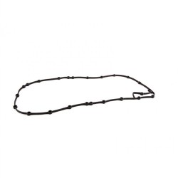 Junta Cárter BMW E36 E46 M43 713313900 11131432109