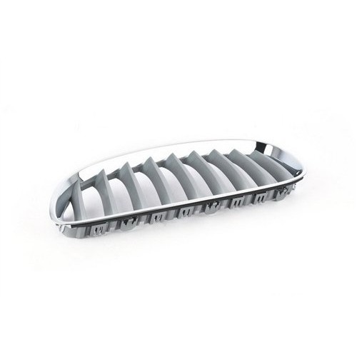 BMW Rejilla Aluminio Mate M Izquierda E89 Z4 51137181547