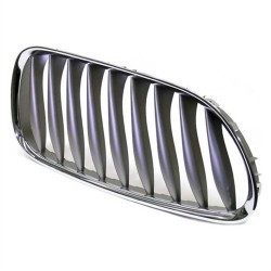 Rejilla Bmw Titan Derecha E85 E86 Z4 2004-2011 51117117758