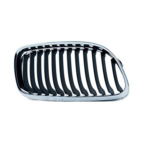 Parrilla BMW 51137201968