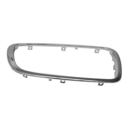 BMW Parrilla Níquel 51137145740