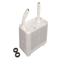 Radiador de aceite de transmisión BMW E53 X5 344475 17207500754
