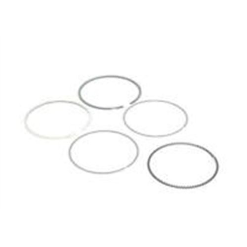 BMW Aro De Pistón Estándar 84 00 Mm E81 E87 E90 E92 E93 E60 0842570000 11257558141