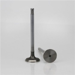 BMW Valve N40 N42 Set 8 مدخل 8 عادم 1523p In 1522p Ex X1 X3 11341440304