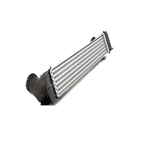 BMW Turbo Radiador E53 X5 17517791231