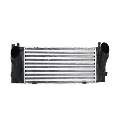 Radiador Turbo Bmw F20 F21 F22 F23 F30 F31 F34 F32 F33 F36 Touring Gt 17517600530 344825